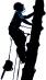 Belmont Tree Surgeons Logo